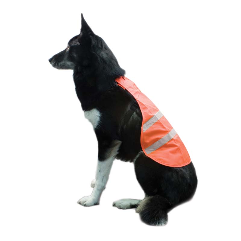 Backwoods Safety Dog Vest CG Emery