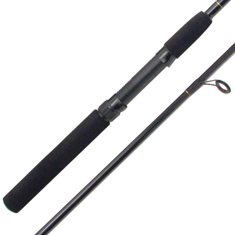 Fishing spinning rod graphite blank t ring guides - CG Emery