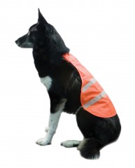 Dog vests, leashes collars bells and hunting accessories - Dog vests, leashes collars bells and hunting accessories