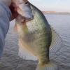 A Few Tips for Fishing for Crappie