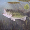 Bass Fishing Tip: Go Slow for Spring Largemouth