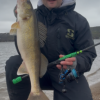 Dylan Bachtold's photo