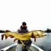 Matt Mitchell's photo