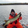 Tips to Catching Big Muskies in the Fall