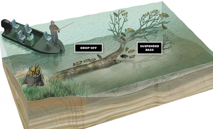 Sweet Spots for Largemouth Bass