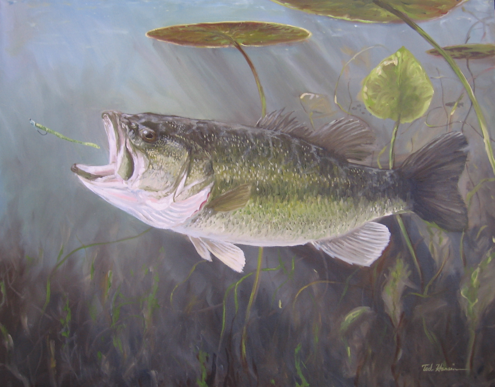 Bass Fishing Tip: Go Slow for Spring Largemouth - CG Emery